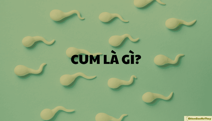 Cum là gì?