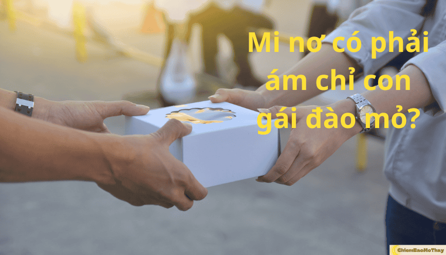 Mi nơ là gì?