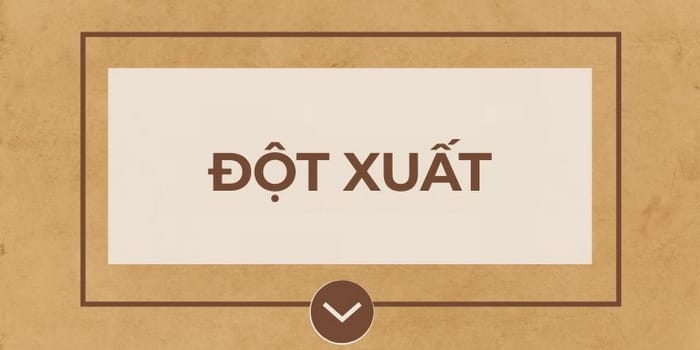  “Đột xuất” là sự việc phát sinh bất ngờ, không nằm trong kế hoạch ban đầu
