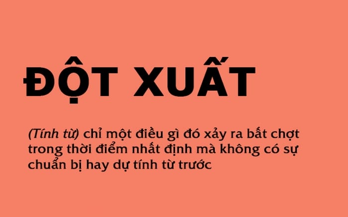 Đột xuất là từ đúng, cần nhận diện đúng để tránh sai sót, dùng từ đột suất trong học thuật