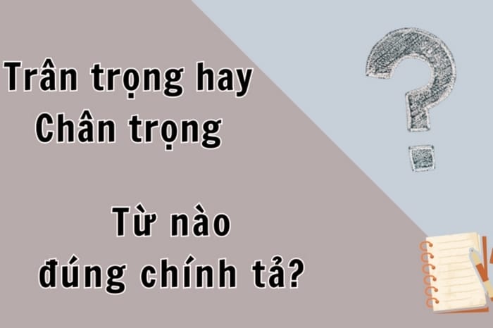 Trân trọng hay chân trọng: Đâu là cách viết đúng trong tiếng Việt?