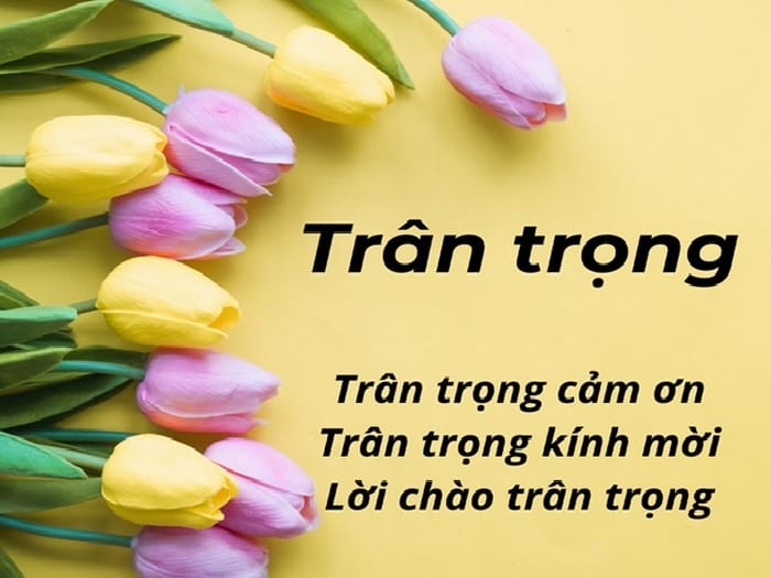 Nhiều người nghe nhầm âm và viết chân trọng thay vì trân trọng