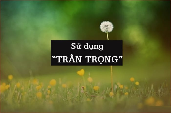 Hãy dùng đúng từ trân trọng để đạt hiệu quả cao trong giao tiếp, trong các văn bản học tập, công việc