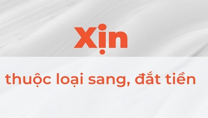 Xịn là tính từ thể hiện đồ vật, dịch vụ nào đó tốt, chất lượng cao hoặc rất đáng giá