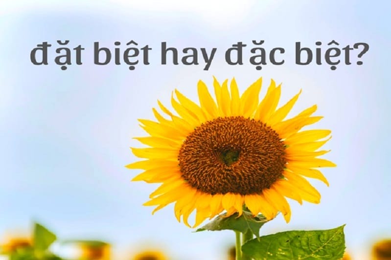 Đặc biệt là từ chính xác, còn đặt biệt là từ không có nghĩa
