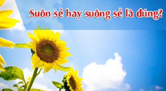 Suôn sẻ là từ đúng chuẩn tiếng Việt, suông sẻ là từ viết sai