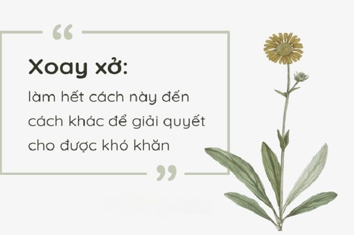 Xoay xở được dùng phổ biến trong học tập, đời sống gia đình