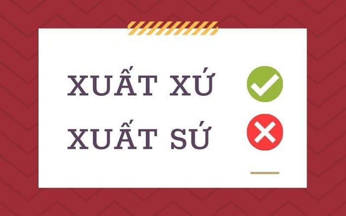 Việc chưa hiểu rõ nghĩa của từ gây nhầm xuất lẫn giữa xuất xứ và xuất sứ