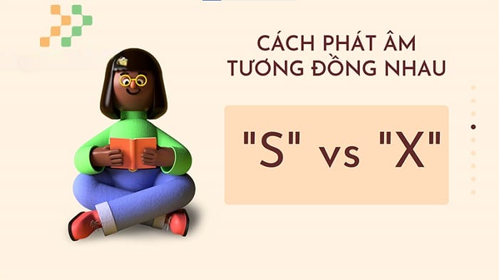 Phát âm “s” và “x” khá giống nhau nên nhiều người viết sai